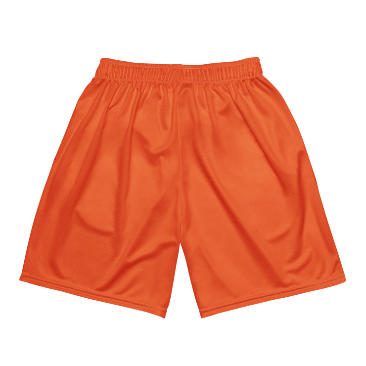OBSRD ORANGE MESH SHORTS