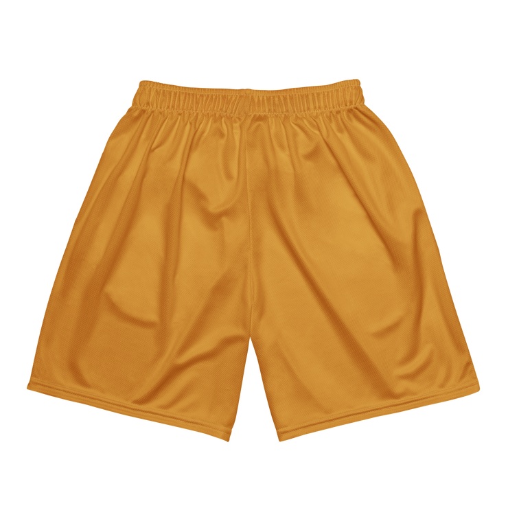 OBSRD GOLD MESH SHORTS