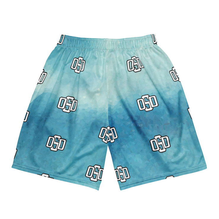 OBSRD OSD BLUE MESH SHORTS