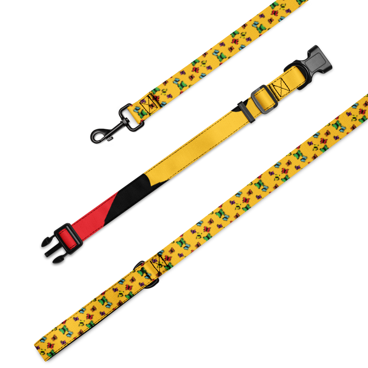 OBSRD BUTTERFLIES PET COLLAR & LEASH